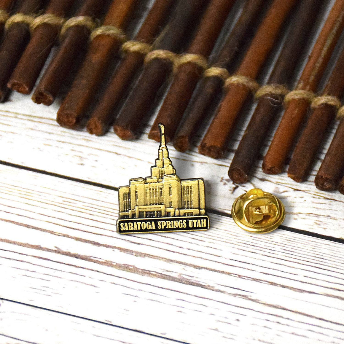 Saratoga Springs Temple Silver Temple Pin