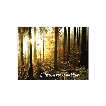 Photo,Trees Could Talk 3x4