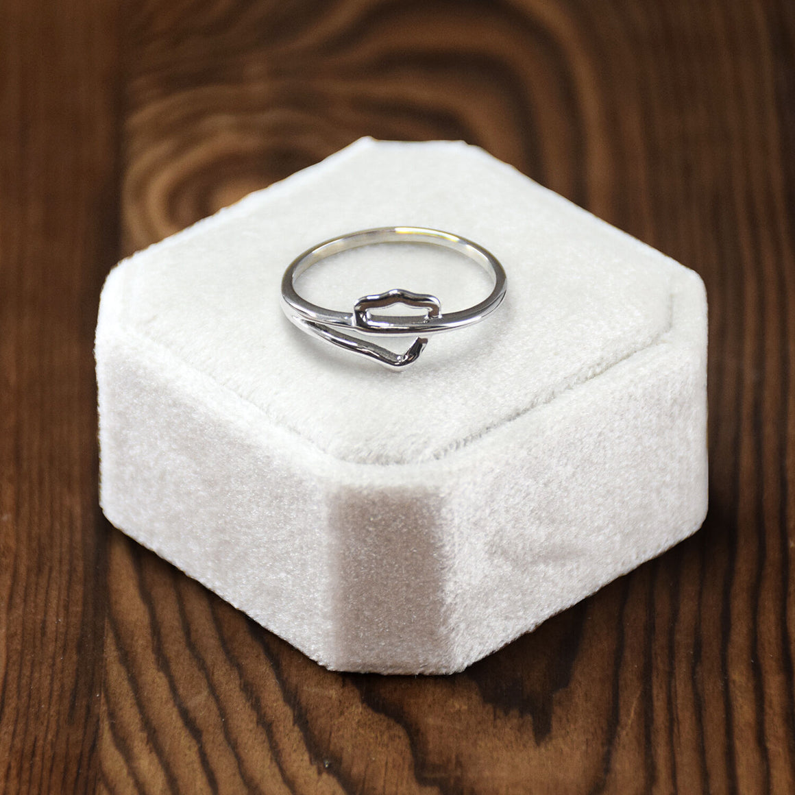 Ringmasters Stainless Steel Infinity Shield Choose the Right CTR Ring