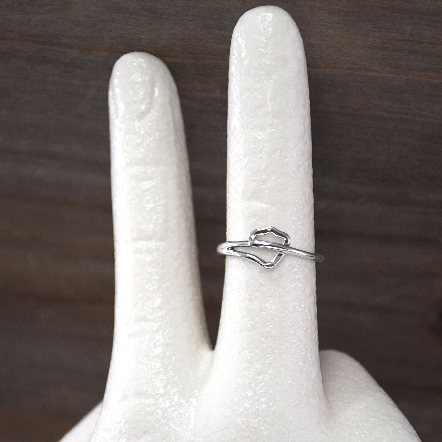 Ringmasters Stainless Steel Infinity Shield Choose the Right CTR Ring