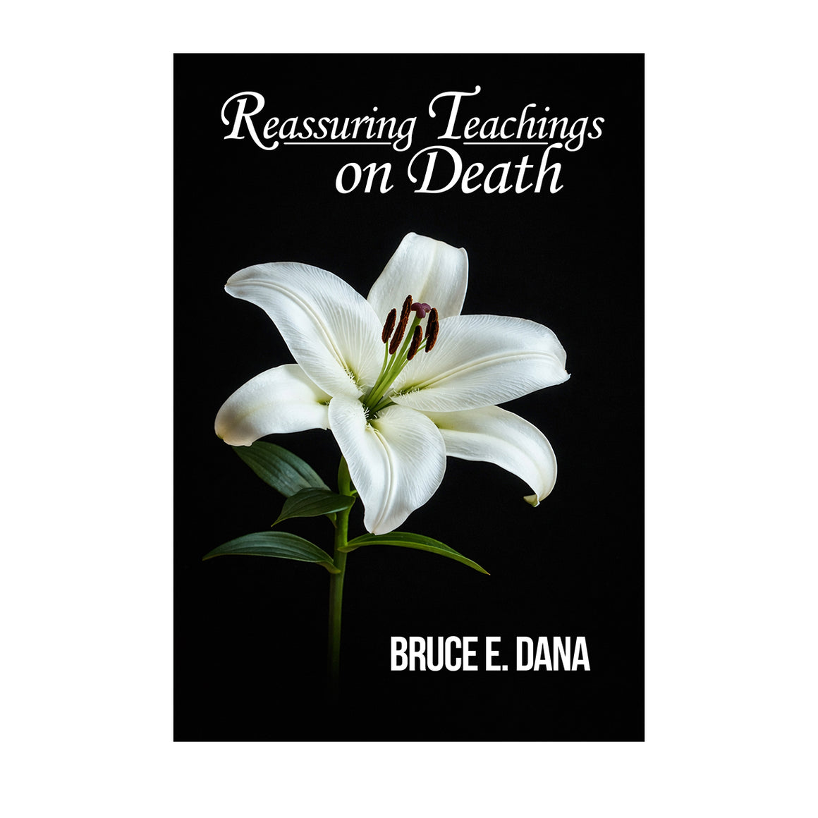 Reassuring Teachings on Death Paperback